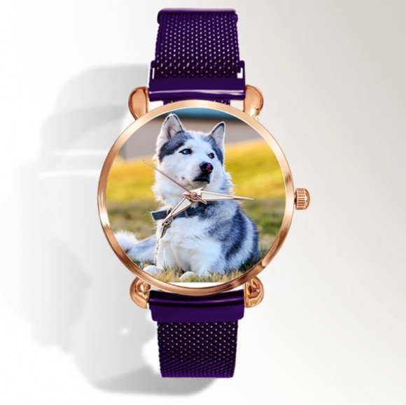 Canadian Eskimo Dog Watch - Picture 4 of 7